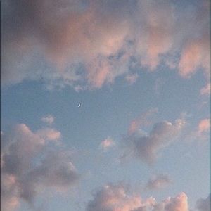 Meet your Posher, Elexia